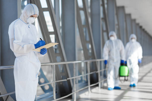 Best Basement Mold Removal  in Scissors, TX
