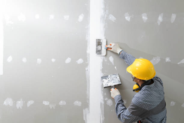 Best Real Estate Mold Inspection  in Scissors, TX