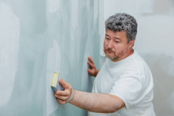 Best Post-Remediation Verification Testing  in Scissors, TX