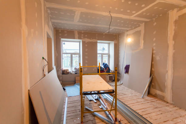 Mold Odor Removal Services in Scissors, TX
